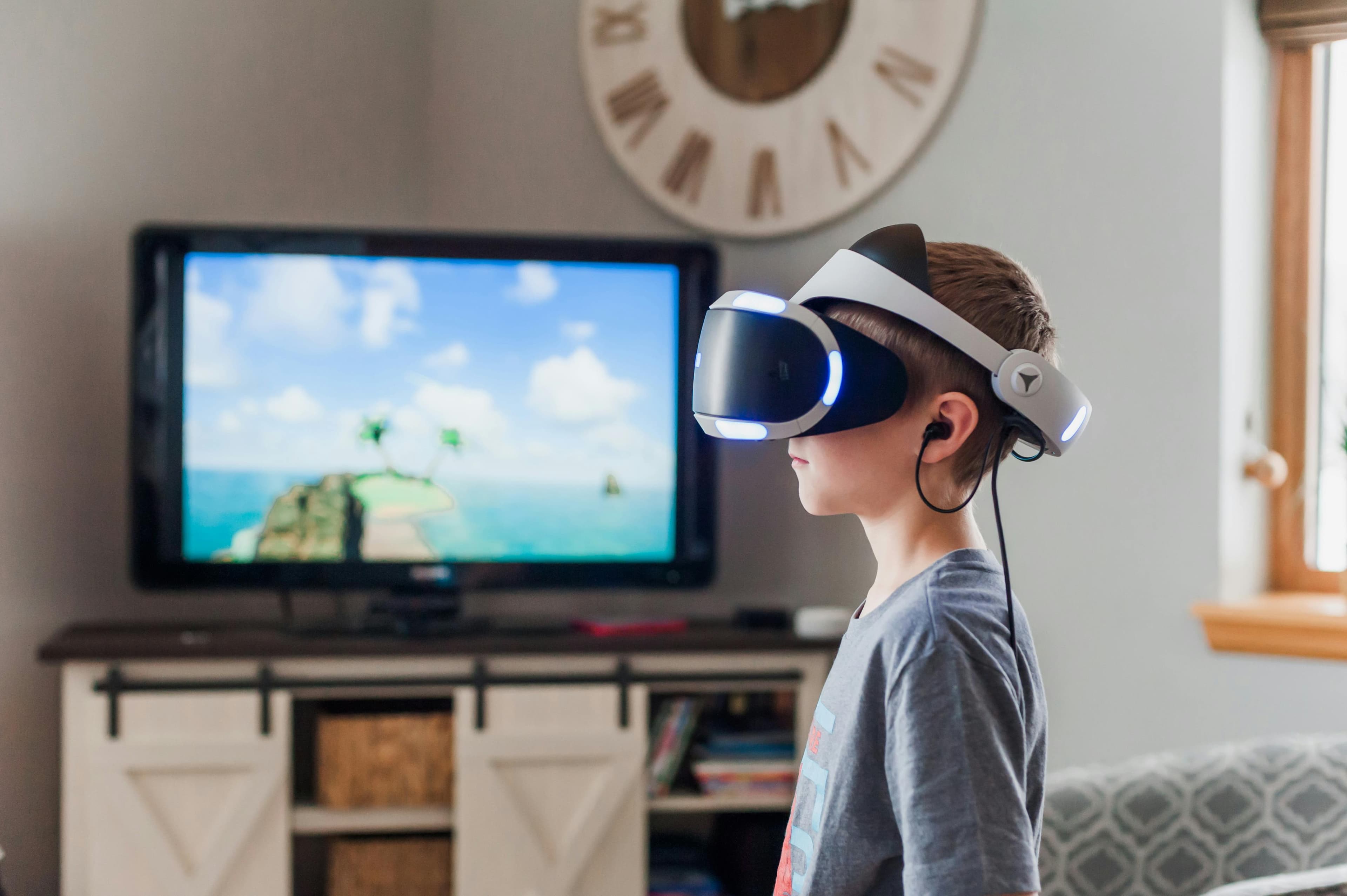 OmniVR Pro